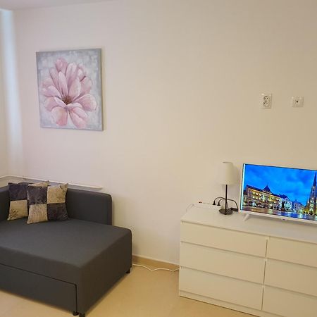 Podbara Center Apartment โนวีซาด ภายนอก รูปภาพ