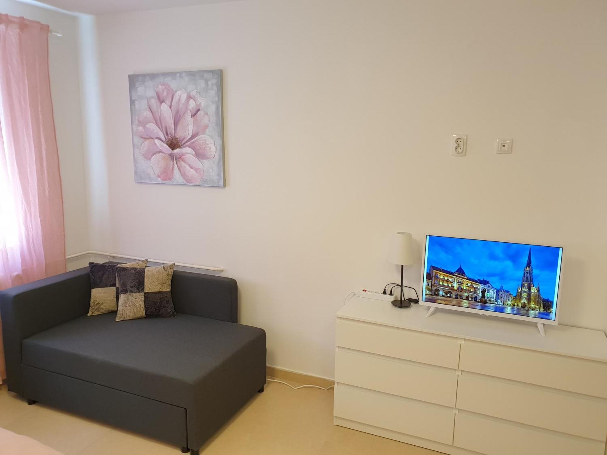 Podbara Center Apartment โนวีซาด ภายนอก รูปภาพ